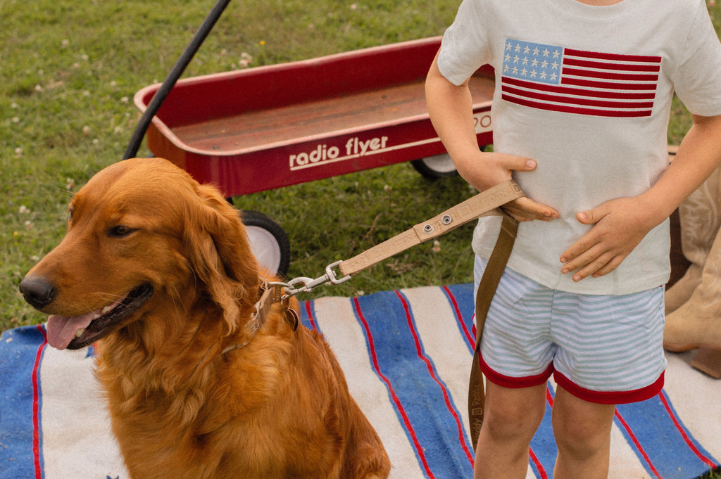 4th of July Flag Applique Boy Top and Shorts Set