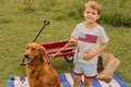 4th of July Flag Applique Boy Top and Shorts Set